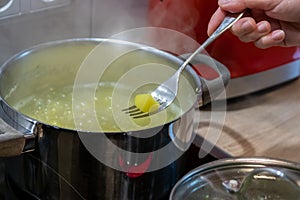 Cooking on cooker in the kitchen with hot steam and pots on a ceran stove to cook delicious meals for the family photo