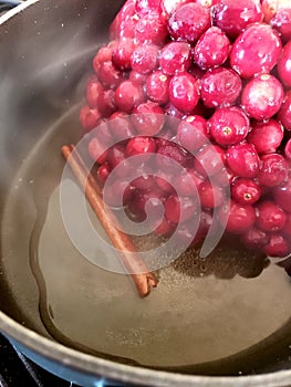 Cooking cranberries and cinnamon stick