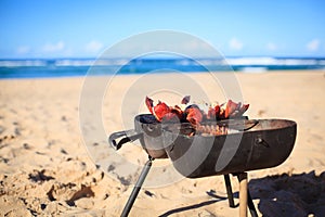 Cooking crayfish on the beach