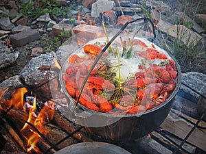 Cooking crayfish in the wild over the fire