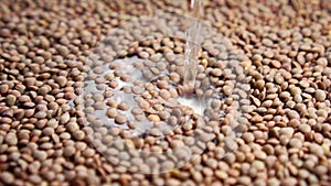 Cooking dry lentils. Pouring water and soaking wet legumes in slow motion. Close-up.