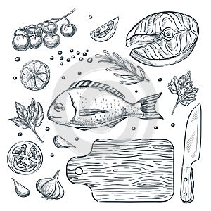Cooking fish dorado and salmon steak, sketch illustration. Seafood restaurant menu design elements.