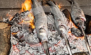 Cooking fish grilled over hot coals bonfire