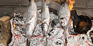 Cooking fish grilled over hot coals bonfire