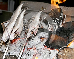 Cooking fish grilled over hot coals bonfire