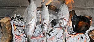 Cooking fish grilled over hot coals bonfire