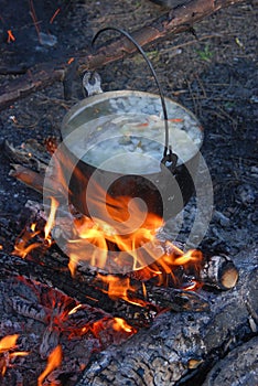 Cooking fish soup on the fire.Bright campfire.
