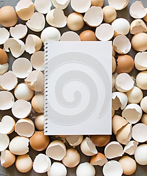 Cooking with fresh ingredients concept. eggshell on a concrete background with copy space on notebook