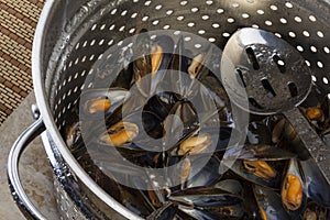 Cooking Fresh Mussels - Moules Marinieres