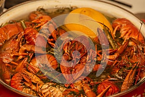 Cooking freshwater crayfish in a pan. Crayfish boil in boiling water, close-up. Cooking crayfish in boiling water