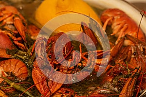 Cooking freshwater crayfish in a pan. Crayfish boil in boiling water, close-up. Cooking crayfish in boiling water