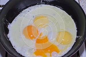 Cooking of fried eggs. Eggs are fried in a frying pan