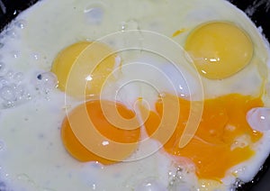 Cooking of fried eggs. Eggs are fried in a frying pan