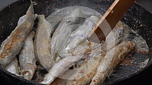 Cooking frying and stirring capelin fish fried in iron pan. Close-up view of chef stirs roasted caplin fish with wooden