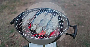 Cooking grilled fish on the flaming grill outdoor. Barbeque in the nature, summer camping