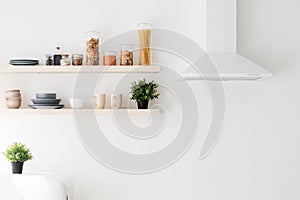 Cooking hood, spices and herbs, kitchenware supplies on shelves in kitchen with white interior design, free space