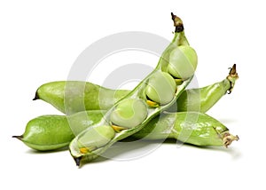 Cooking ingredient series broad bean. for adv etc. of restaurant,grocery,and others