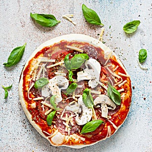 Cooking Italian pizza with tomato sauce, fresh tomatoes, cheese, mushrooms, salami slices and basil .