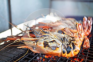 Cooking king prawns grilled on the flaming grill