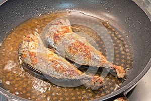 Cooking mackerel fish in the pan
