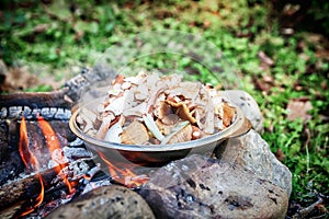 Cooking mushrooms on an open fire