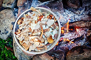 Cooking mushrooms on an open fire