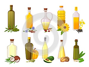 Cooking oil bottles. Natural vegetable, olive, sunflower, avocado and coconut virgin organic oils in glass with ingredient plants