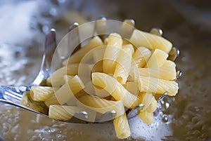 Cooking pasta, boiling water... photo