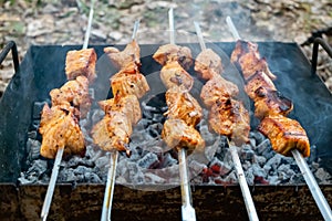 Cooking pork meat on the fire. Skewers with shashlik barbeque BBQ grill outdoor picnic