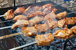 Cooking pork meat on the fire. Skewers with shashlik barbeque BBQ grill outdoor picnic