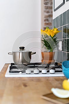 Cooking pot on gas stove and plant in kitchen