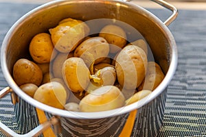 a cooking pot with unpeeled cooked potatoes