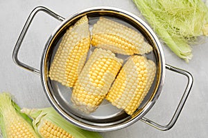 Cooking pot of yellow sweet corn cobs prepared for boiling, raw corncobs for cooking on table, top view