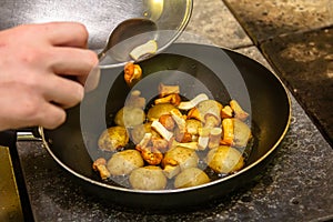 cooking potatoes with chanterelle mushrooms in a frying pan