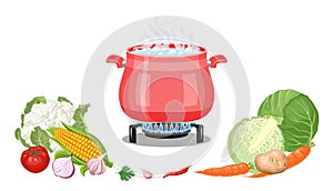 Cooking in red pan. Steaming food in  pot on gas stove isolated on white background. Vegetables whole and chopped.