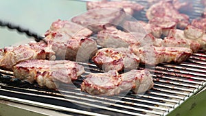 Cooking shish kebabs and grilled meat in summer on the grill