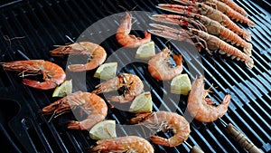 Cooking shrimp, prawn, langoustines on grill, barbecue, hot cast iron grate. Close up. Outdoor