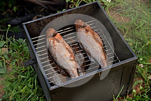 Cooking smoked  European bass Dicentrarchus labrax  fish outdoor