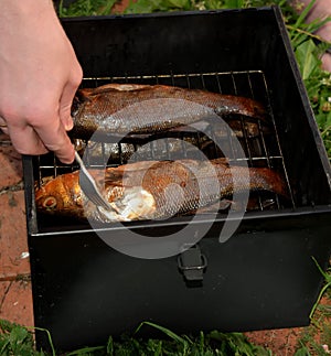Cooking smoked  European bass Dicentrarchus labrax  fish outdoor photo