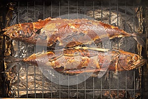 Cooking smoked scomber on a grill, two fish photo