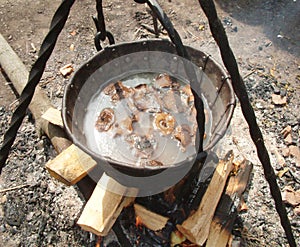 Cooking soup on campfire