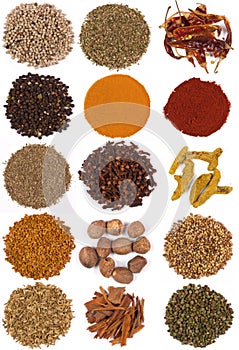 Cooking Spices