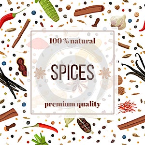 Cooking spices seamless pattern set