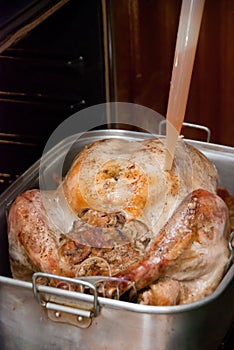 Cooking a Thanksgiving Turkey