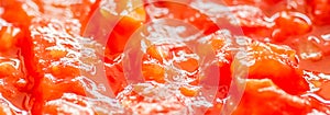 Cooking tomato sauce, closeup steamed vegetables for cook book or food blog background