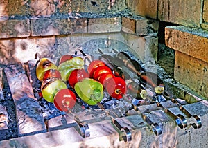 Cooking tomatoes and eggplants