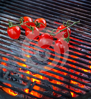 Cooking vegetables on a grill