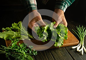 Cooking vegetarian food on the kitchen table. Leaves of green salad in the hands of the cook