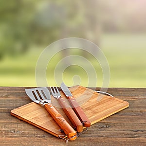 Cookout, Picnic Or BBQ Party Concept With Grill Tools