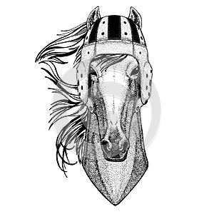 Cool animal wearing rugby helmet Extreme sport game Horse, hoss, knight, steed, courser Hand drawn image for tattoo